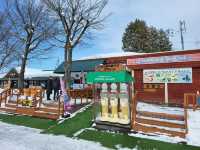 跟著企鵝走！北海道高人氣旭山動物園雪季巡禮
