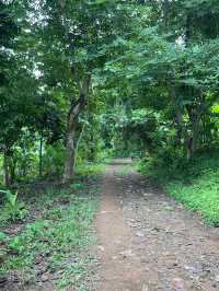 🌿 น้ำตกสลัดได – ซ่อนตัวกลางป่าลึก บ้านนา นครนายก 