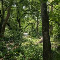 Chickasaw National Recreation Area – Sulphur, OK