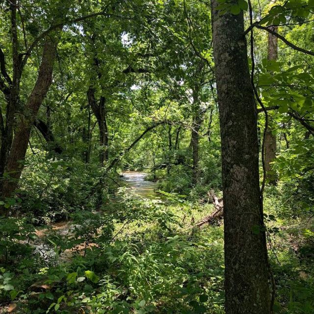 Chickasaw National Recreation Area – Sulphur, OK