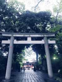 【大人な井の頭公園　東京　吉祥寺　三鷹　井の頭池アラウンドウォーキング】