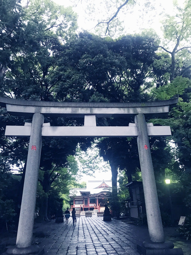 【大人な井の頭公園　東京　吉祥寺　三鷹　井の頭池アラウンドウォーキング】