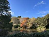 🖼️ Brick Bay Wines & Sculpture Trail — 藝術與自然的完美交融