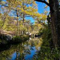 Hamilton Pool Preserve