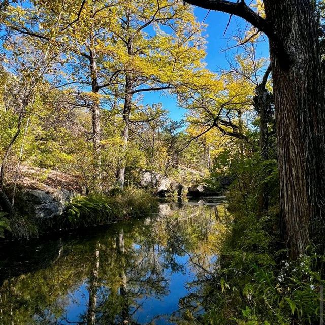 Hamilton Pool Preserve