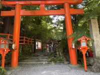 A Sunny Trek to Kifune Shrine: Worth the Walk? ☀️⛩️