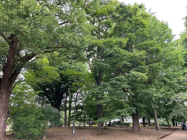 Ueno Park