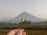 Bromo Kawah ijen Madakaripura Tumpaksewu Trip 