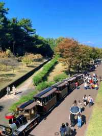 📣🇯🇵日本大阪必去景點（七）萬博紀念公園
