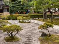 【銀閣寺】静寂の美に包まれる、心落ち着く京都の隠れた名所🌿