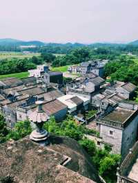 🌾 Scenic View from the Top of Ruishi Diaolou, Jinjiangli
