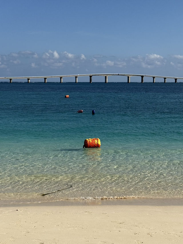 Miyakojima Travel Guide🏝️: Island Escapes & Hidden Beaches