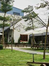 VEEVOO Coffee