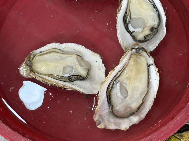 海南特色之旅