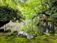 金澤 | 松風閣庭園，比兼六園還要古老的日式庭園