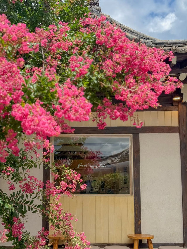 (실시간) 바야흐로 프롬상록의 계절🐈💕🫧