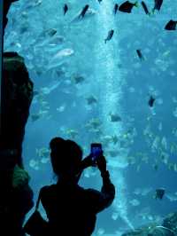 桃園沈浸式水族館 feat. 期間限定光影展