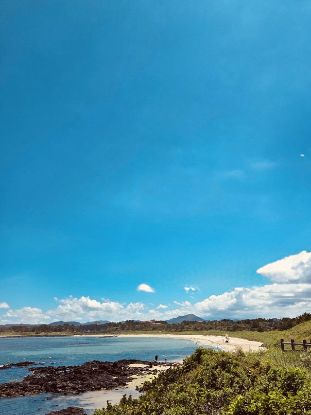 The Best Spot for Windsurfing and Kitesurfing
