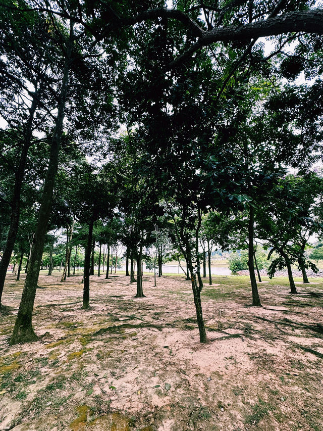 静けさと未来都市が交差する場所、Cyberjaya Lake Gardens散策記