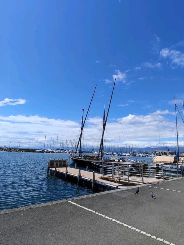 🦢Lausanne, vibrant lakeside city in Switzerland