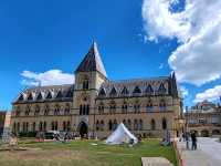 The Grace of Flight: The Insect World at Oxford's Natural History Museum