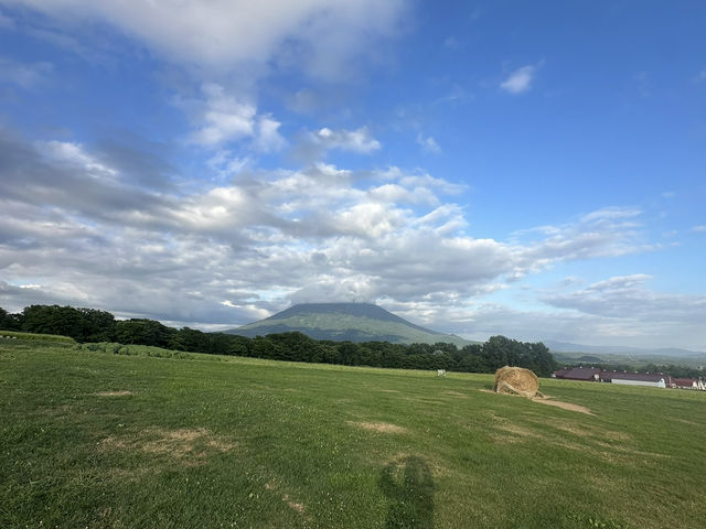 【北海道ニセコ】食と映え牧場