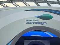 Dive Into Wonder at the New Singapore Oceanarium