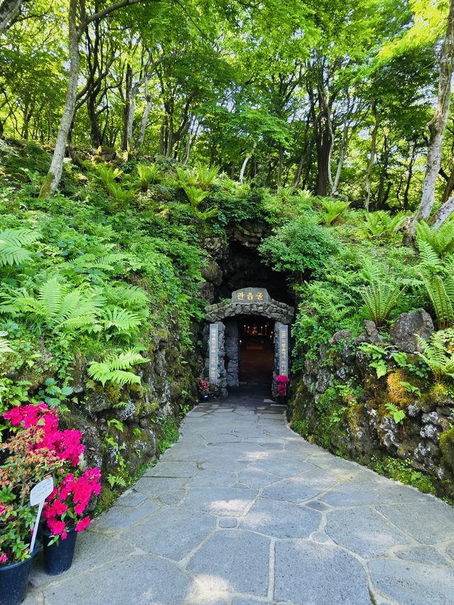 Spiritual Gateway to Hallasan