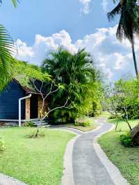 Villa De Fedelia: Where Serenity Finds You 