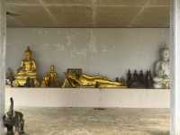 ดอยช้างมูบ เชียงราย 