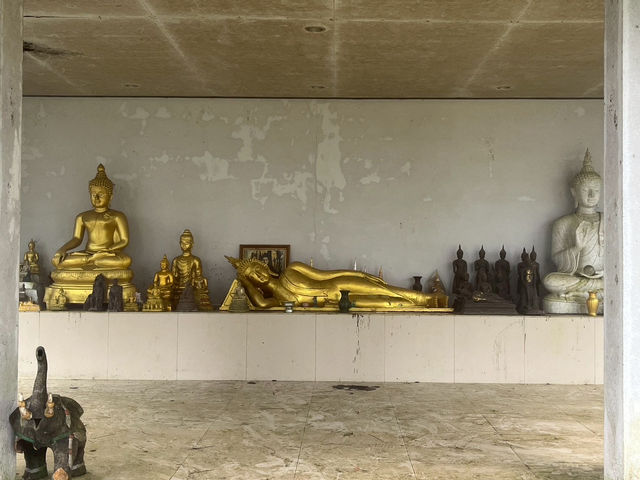 ดอยช้างมูบ เชียงราย 