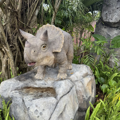 本物の恐竜化石★1点もの『ダイナソーボーン』 8mmブレス★ジャングリア沖縄応援 maxresdefault.jpg?sqp=-