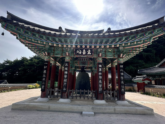 大邱🇰🇷｜大邱秘境古剎！符仁寺千年歷史與神秘四頭烏龜你看過嗎？🐢✨