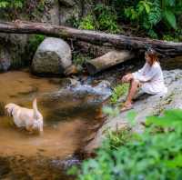 ที่พักแบบใกล้ชิดธรรมชาติ ติดลำธาร แม่ลาย เชียงใหม่