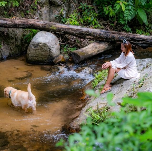 ที่พักแบบใกล้ชิดธรรมชาติ ติดลำธาร แม่ลาย เชียงใหม่