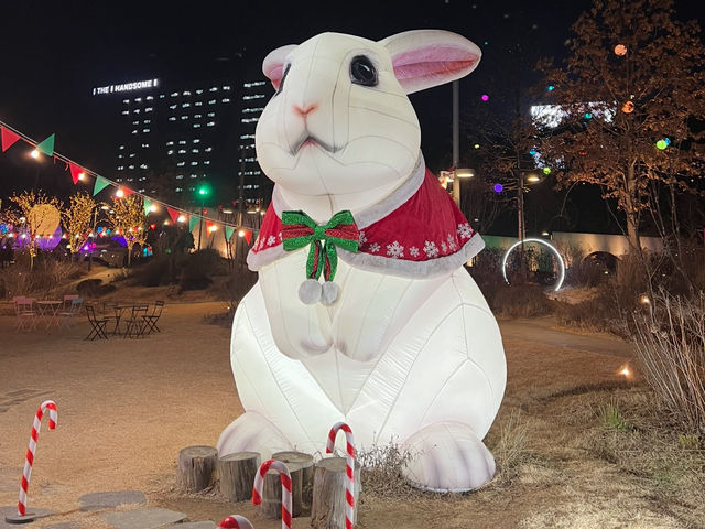 데이트 명소로 추천하는 이천 별빛정원