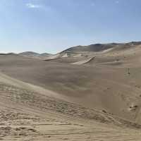 A Desert Park Like No Other 