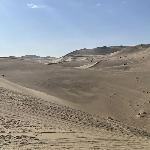 A Desert Park Like No Other 