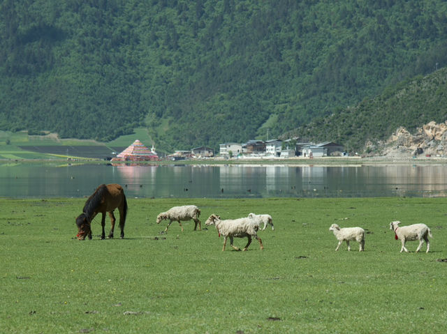 《ナパ海》高原に広がる草原と湖の絶景