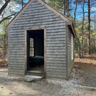 월든 연못(Walden Pond)