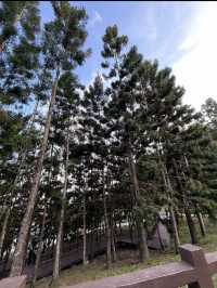 Taman Saujana Hijau Putrajaya: Touch of English Charm in Nature