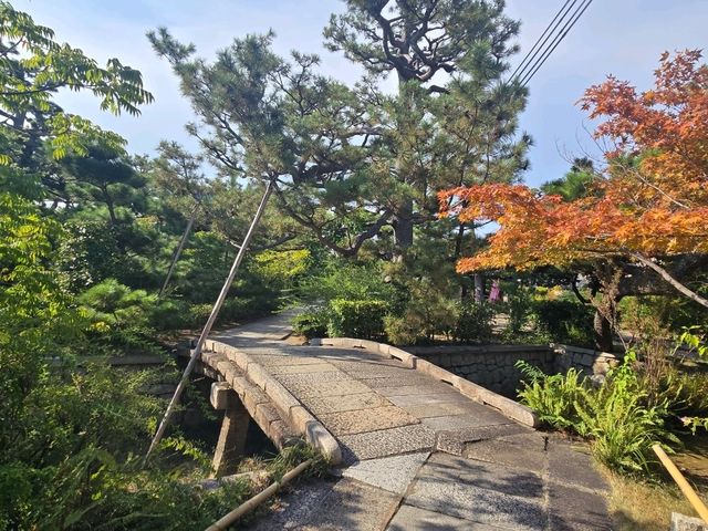 【大阪】堺市　南宗寺