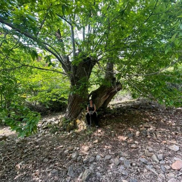 Las Médulas (León province)