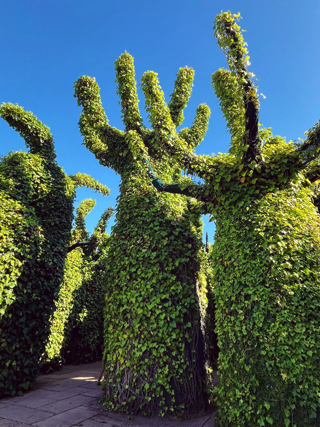 🇳🇿紐西蘭必訪 · 漢米爾頓花園｜一座活的園林藝術博物館 🌿✨