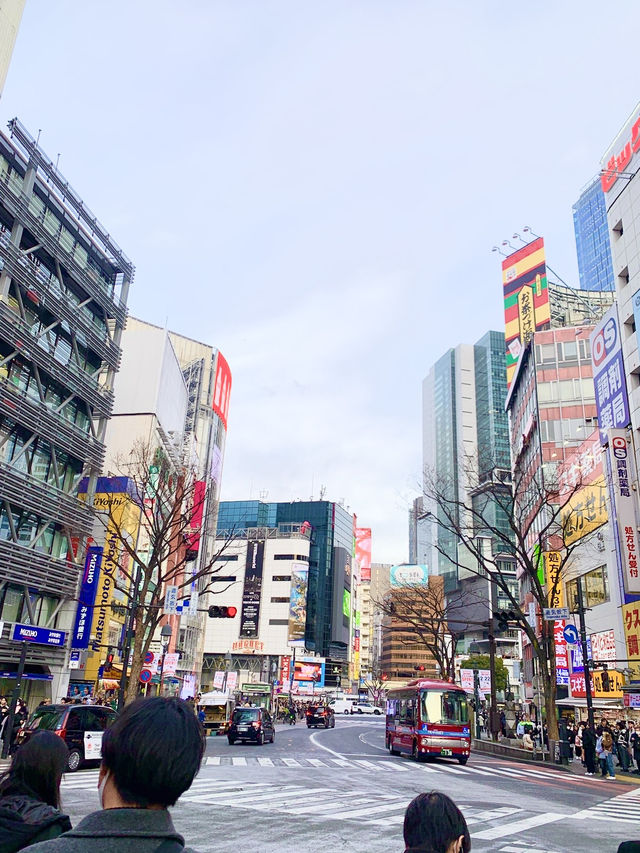 도쿄에서 보내는 하루 🗼🍣