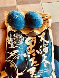 🌋「冒著煙霧的火山谷，探索地熱的神秘力量。」