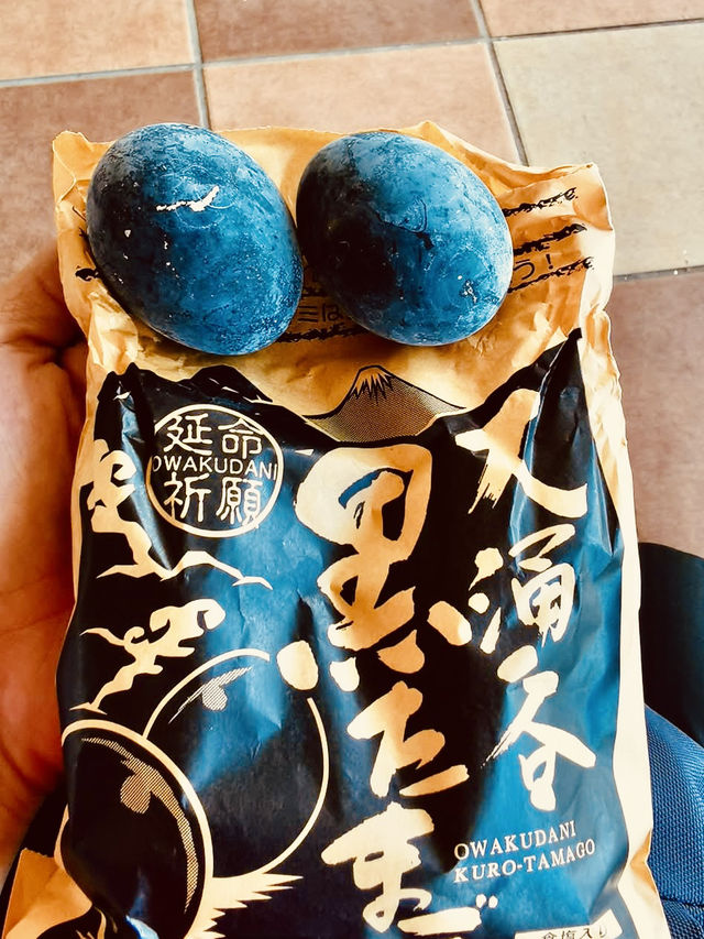 🌋「冒著煙霧的火山谷，探索地熱的神秘力量。」