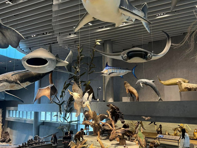 Shanghai Natural History Museum Shanghai Natural History Museum