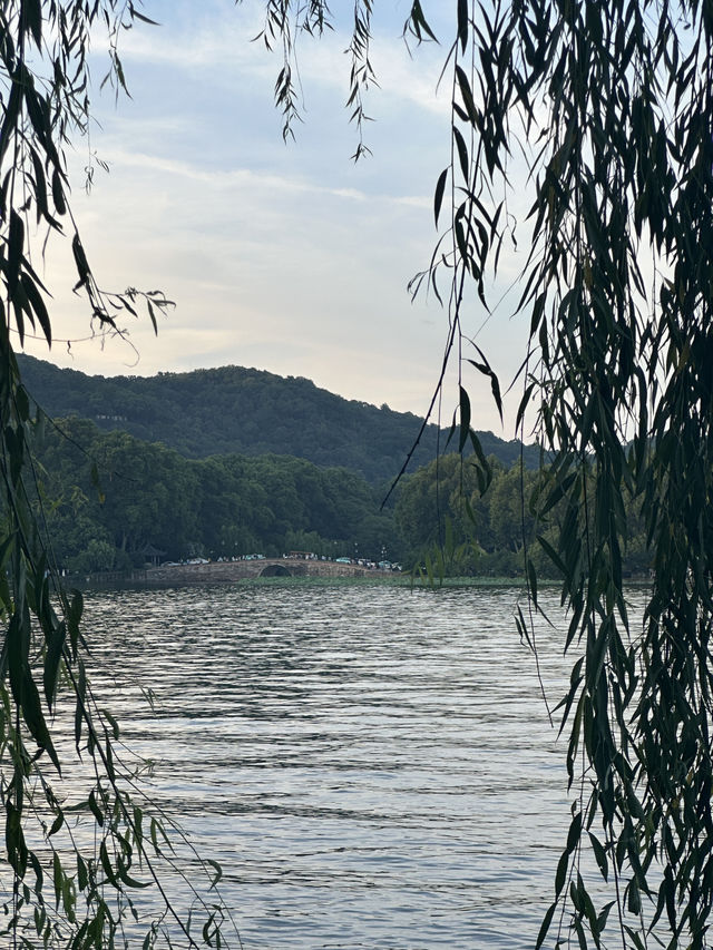 🇨🇳Fan in Hand, Breeze on My Face: West Lake Moments