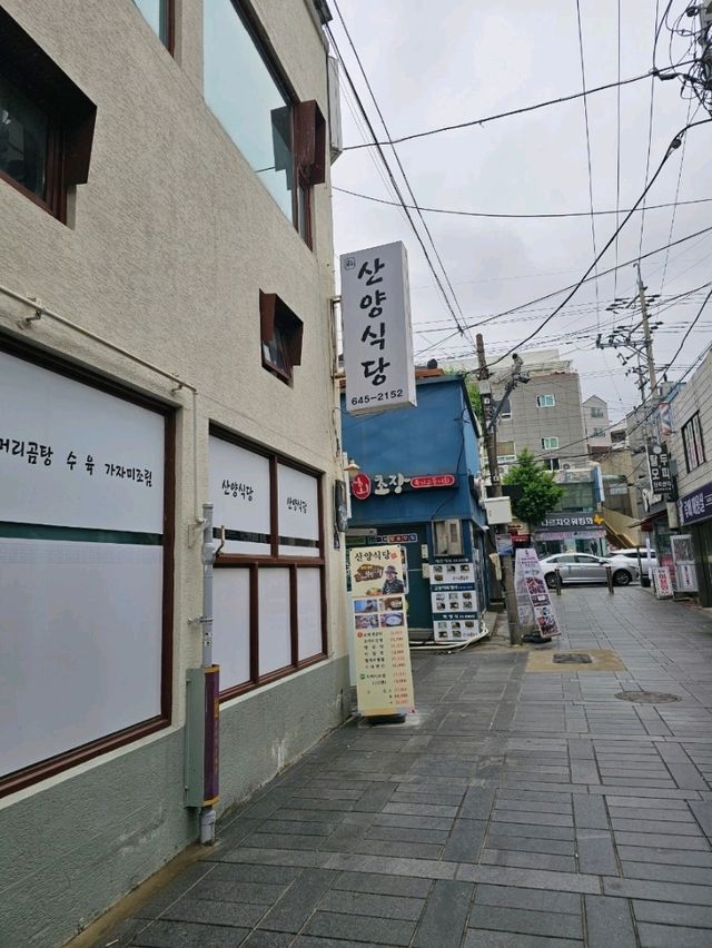 통영에서 꼭 먹어야하는 멍게비빔밥